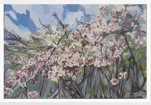Cherry Blossom FIne Art Print- Framed in White